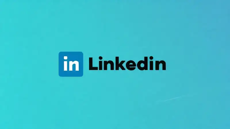 LinkedIn presents professional data connections visually