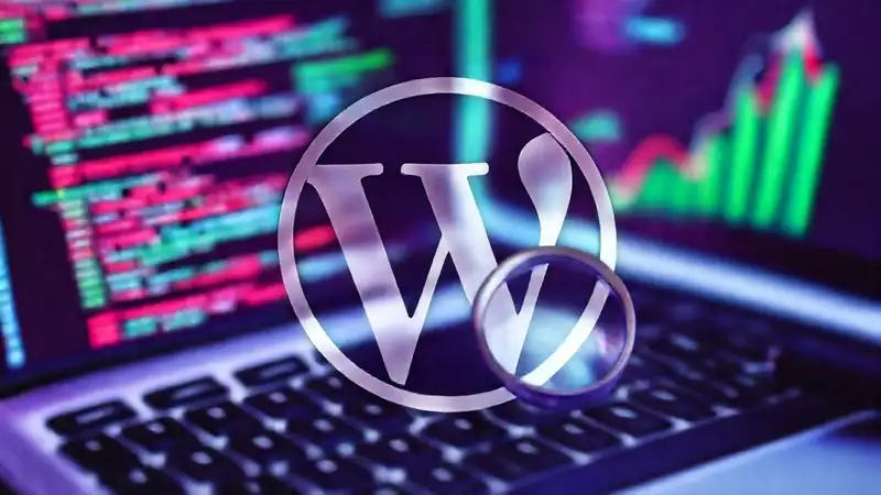 WordPress showcases data visualization through modern design